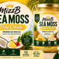 PINA COLADA SEA MOSS GEL